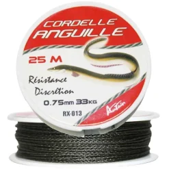 Tresse Autain Cordelle Anguille