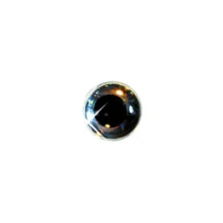 Yeux Delalande 3D